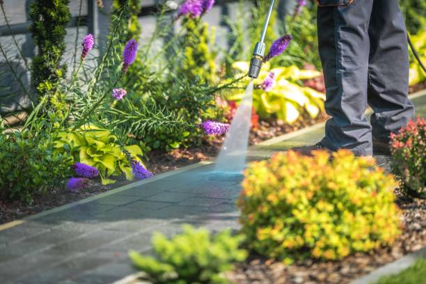 Best Driveway Pressure Washing  in Seaville, NJ