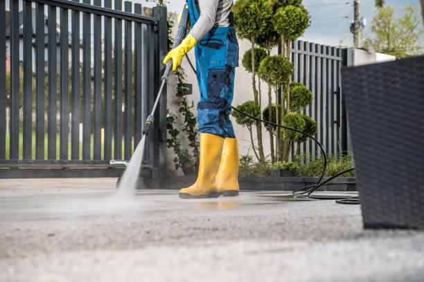 Best Roof Washing  in Seaville, NJ